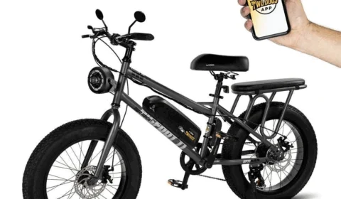 Two Dogs lança primeira fat bike elétrica com autonomia de 65km e 2 lugares no Brasil