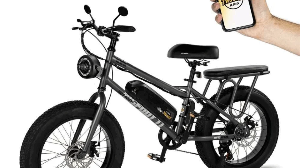 Two Dogs lança primeira fat bike elétrica com autonomia de 65km e 2 lugares no Brasil