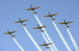  Goodyear faz parceria com a Esquadrilha da Fumaça