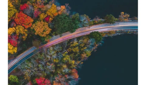 Stellantis apresenta desempenho em seu primeiro relatório de Responsabilidade Social