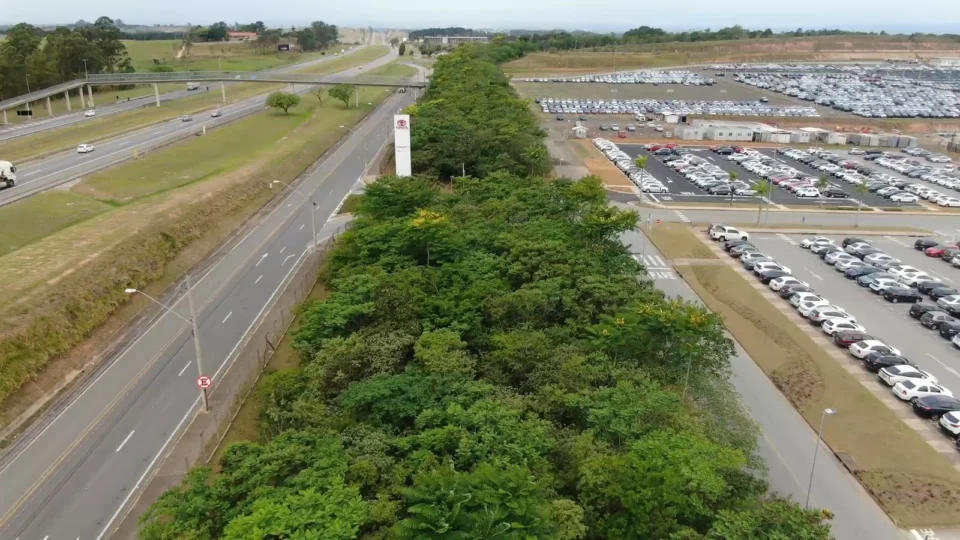 Com foco na neutralidade de carbono, Toyota do Brasil promove agenda ambiental
