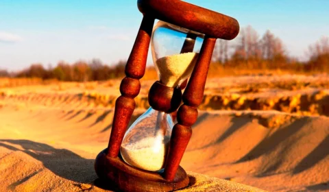 TEMPO – Viva o HOJE