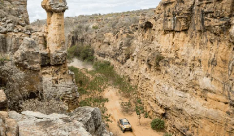 Maior rally do mundo será sediado no Brasil em comemoração do bicentenário da Independência