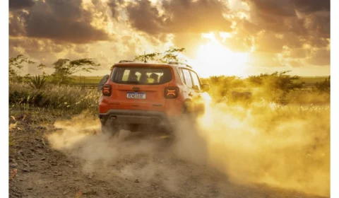 Jeep® divulga finalistas que podem ser “Chief Freedom Officer” da marca