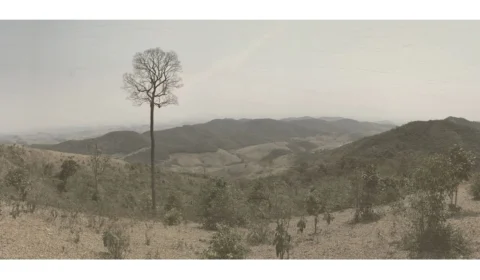 Registros do desaparecimento da paisagem brasileira é apresentado pela Casa Fiat de Cultura