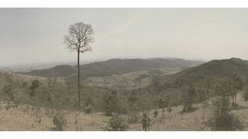 Registros do desaparecimento da paisagem brasileira é apresentado pela Casa Fiat de Cultura
