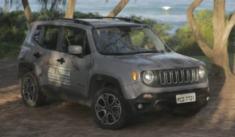 Jeep celebra mês do meio ambiente com “Mergulho no TAMAR”