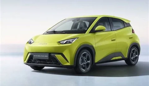 BYD Dolphin Mini: O novo rei dos elétricos no Brasil em 2024