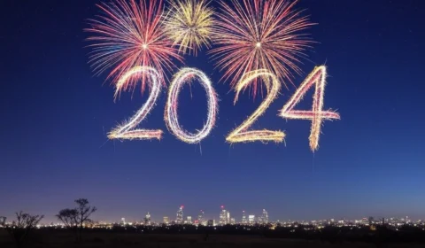 Setor automotivo brasileiro emplaca recorde em 2024: Crescimento, Investimentos e Empregos