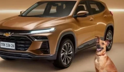 Chevrolet lança Tracker Caramelo em homenagem ao vira-lata símbolo do Brasil e arrecada fundos para ONG animal