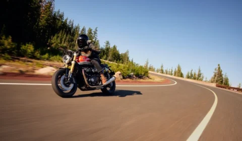 Triumph anuncia campanha em junho com taxa zero, IPVA grátis e foco em modelos premium
