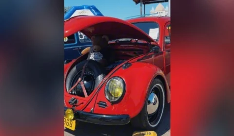 Amigos do Fusca celebram Dia Mundial do veículo em Porto Velho